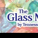 BWW Reviews: Dramatic License Productions Presents Superior Production of THE GLASS M Video