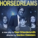 BWW REVIEWS: HORSEDREAMS Injects Intensity Video