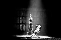 Photo-Coverage-Opening-Night-of-Memphis-in-Toronto-20000101