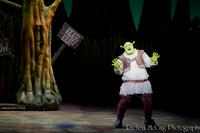 Photo-Coverage-Let-Your-Freak-Flag-Wave-SHREK-opens-in-Toronto-20000101