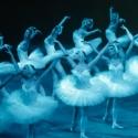 Moscow Festival Ballet Brings SWAN LAKE to Jorgensen’s Stage, 3/27 Video