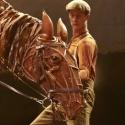 WAR HORSE Extends Booking Period to October 26 Video