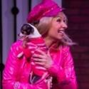 Photo Flash: Beck Center's LEGALLY BLONDE Video