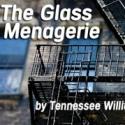 THE GLASS MENAGERIE Opens at Redtwist Theatre, 7/28 Video