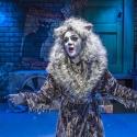Photo Flash: First Look at Emily Brockway and More in CRT's CATS Video