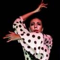FOREVER FLAMENCO! Returns to the Fountain Theatre, 8/5 Video