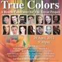 MUSICAL MOMENTUM Concert to Benefit Trevor Project at Laurie Beechman, 4/29 Video