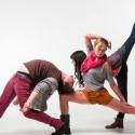 STG Presents 14th Annual DANCE This, 7/13 & 14 Video