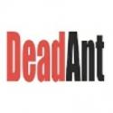 DeadAnt Presents Noel Coward's STILL LIFE, Now thru July 6 Video