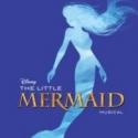STAGE TUBE: First Look at Disney's THE LITTLE MERMAID Musical in Holland Video