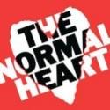 Full Cast Announced for THE NORMAL HEART Tour! Video
