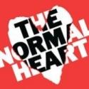 Full Cast Announced for THE NORMAL HEART Tour!