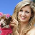 Barn Theatre Presents LEGALLY BLONDE, Now thru July 15 Video