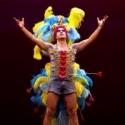 Flashback: PRISCILLA, QUEEN OF THE DESERT Takes Final Bow on Broadway, June 24 Video