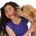 Photo Flash: Meet ANNIE's 'Sandy,' Shelter Dog Sunny! Video