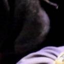 BWW Reviews: AESOP'S FABLES, Hackney Empire, May 13 2012