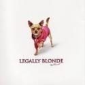 Lighthouse Youth Theatre Presents LEGALLY BLONDE THE MUSICAL, 6/8 - 6/10 Video