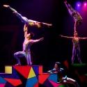 Van Wezel Presents POP GOES THE ROCK Acrobatic Circus Show, 4/16