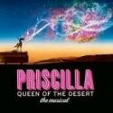 PRISCILLA Reality Show in Australia Seeks New Grand Prize with Broadway Close Video