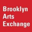 Brooklyn Arts Exchange Announces LIVING PROOF, 5/18-19 Video