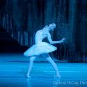 Photo Coverage: Bolshoi Ballet Triumphantly Returns to Toronto