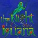 South Camden Theatre Company Set for THE NIGHT OF THE IGUANA, April-May