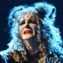 BWW Reviews: 3 Paws Way Up for CATS at Gateway Playhouse Video