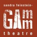 Gamm Theatre's Executive Director to Take Sabbatical, 7/1-12/31 Video