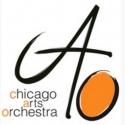  George Lepauw Joins Chicago Arts Orchestra, 5/19 Video