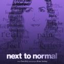 Clearwater Theatre Company Presents NEXT TO NORMAL, June 8-17 Video