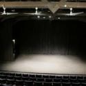 I AM A TREE Opens 5/25 at St. Clement’s