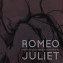 Snorks and Piñs Presents ROMEO AND JULIET at NYC Community Gardens, 6/16-30 Video