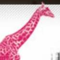 Magenta Giraffe Theatre Co. Announces 2012-2013 Season Video