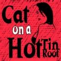 BWW Reviews: Theatre in the Park's CAT ON A HOT TIN ROOF Brings Deep South to Raleigh Video