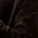 BWW Reviews: HIS GREATNESS, Finborough Theatre, April 27 2012
