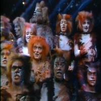 STAGE TUBE: On This Day 9/10- CATS