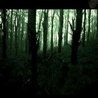VIDEO: First Look - Teaser for Screen Gems' EVIL DEAD Video