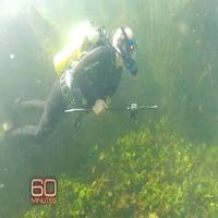 VIDEO: Sneak Peek - Anderson Cooper Dives with Crocodiles on 60 MINUTES Video