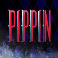 STAGE TUBE: Take a Tour Backstage at  Music Box Theatre with the Cast of PIPPIN! Video