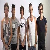VIDEO: ONE DIRECTION Officially Announces '1Day', Coming 11/23 Video