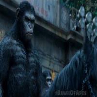 VIDEO: First Look - New TV Spot for DAWN OF THE PLANET OF THE APES Video