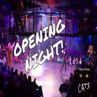 STAGE TUBE: CATS Opens at The Marriott Theatre Video