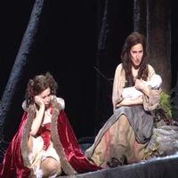 STAGE TUBE: Watch Highlights from the Paris Production of INTO THE WOODS at Theatre d Video