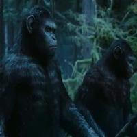 VIDEO: First Look - Two New Trailers for DAWN OF THE PLANET OF THE APES Video