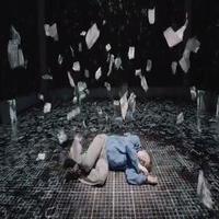 STAGE TUBE: New Teaser Released for Broadway-Bound THE CURIOUS INCIDENT OF THE DOG IN Video