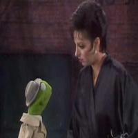 STAGE TUBE: The Muppets Take Broadway? Watch Performances with Minnelli, Vereen, Merm Video