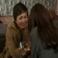 VIDEO: First Look - Maggie Gyllenhaal Stars in New Miniseries THE HONORABLE WOMAN Video