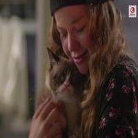 VIDEO: First Look - Aubrey Plaza Lends Her Voice for Lifetime's GRUMPY CAT Holiday…