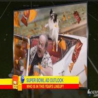 VIDEO: Get a First Look at This Year's SUPER BOWL XLIX TV Spots!