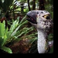 Dino Petting Zoo Roars Into Concord's Capitol Center Today